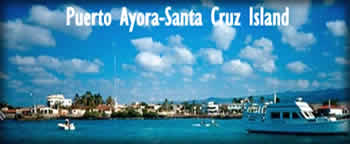 Puerto Ayora Santa Cruz