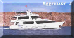 Aggressor 2