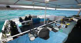 galapagos humboldt diving platform