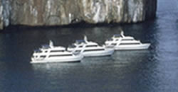 images_yacht/eric_flamingo_letty.jpg