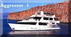 Aggressor 1